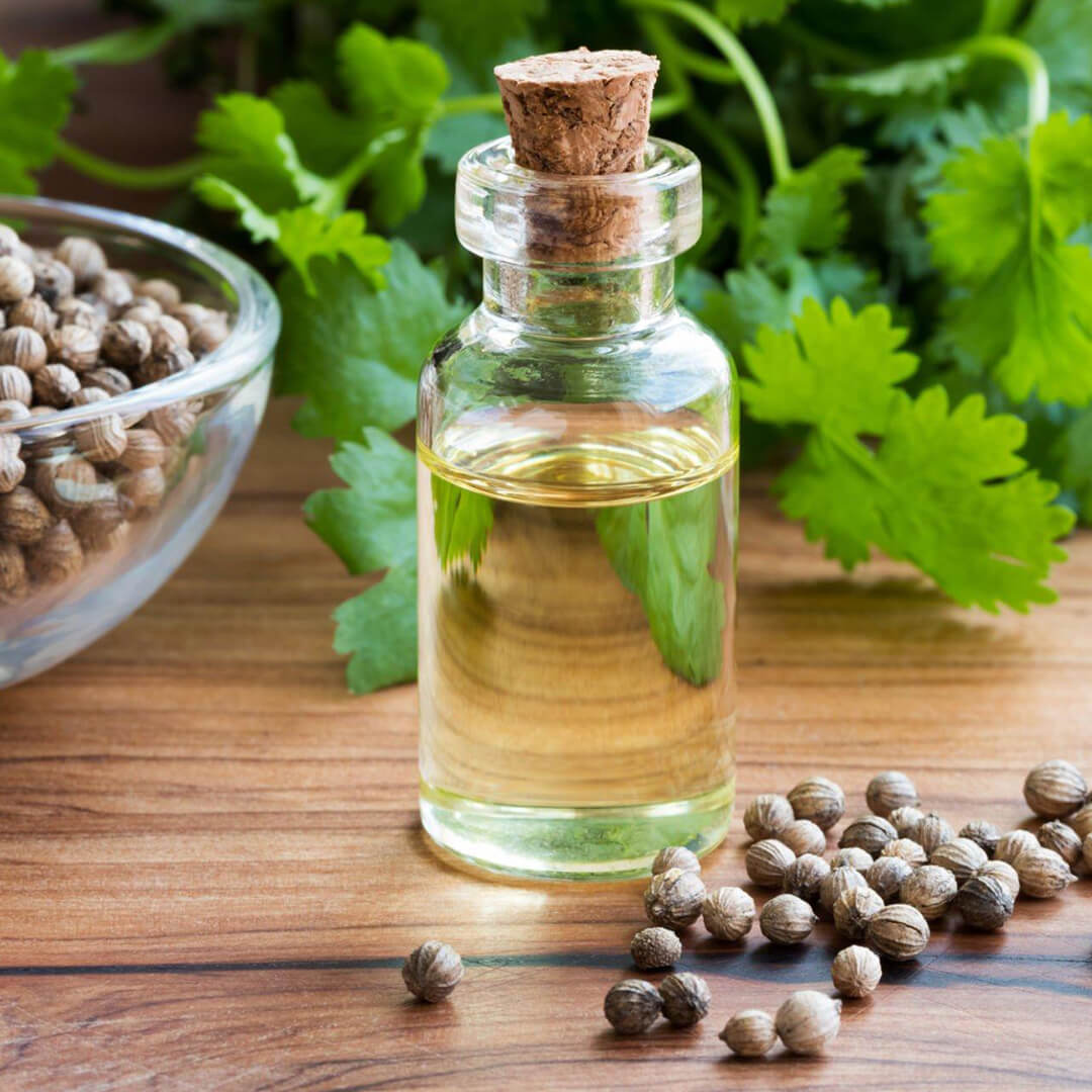 Here Are Some Technical Details About Coriander Oil